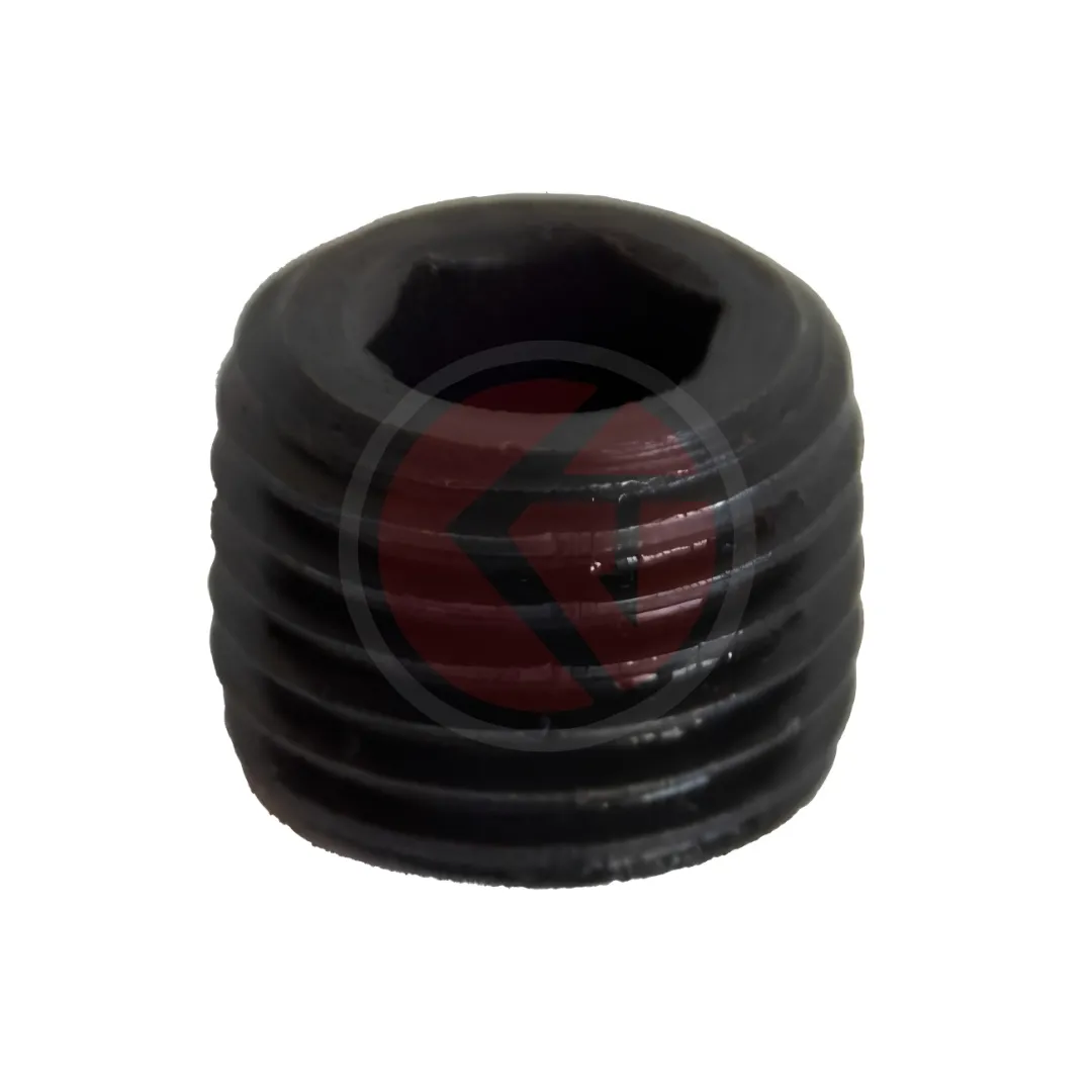 4140 Hyd. Pump Plate Elen Screw Big