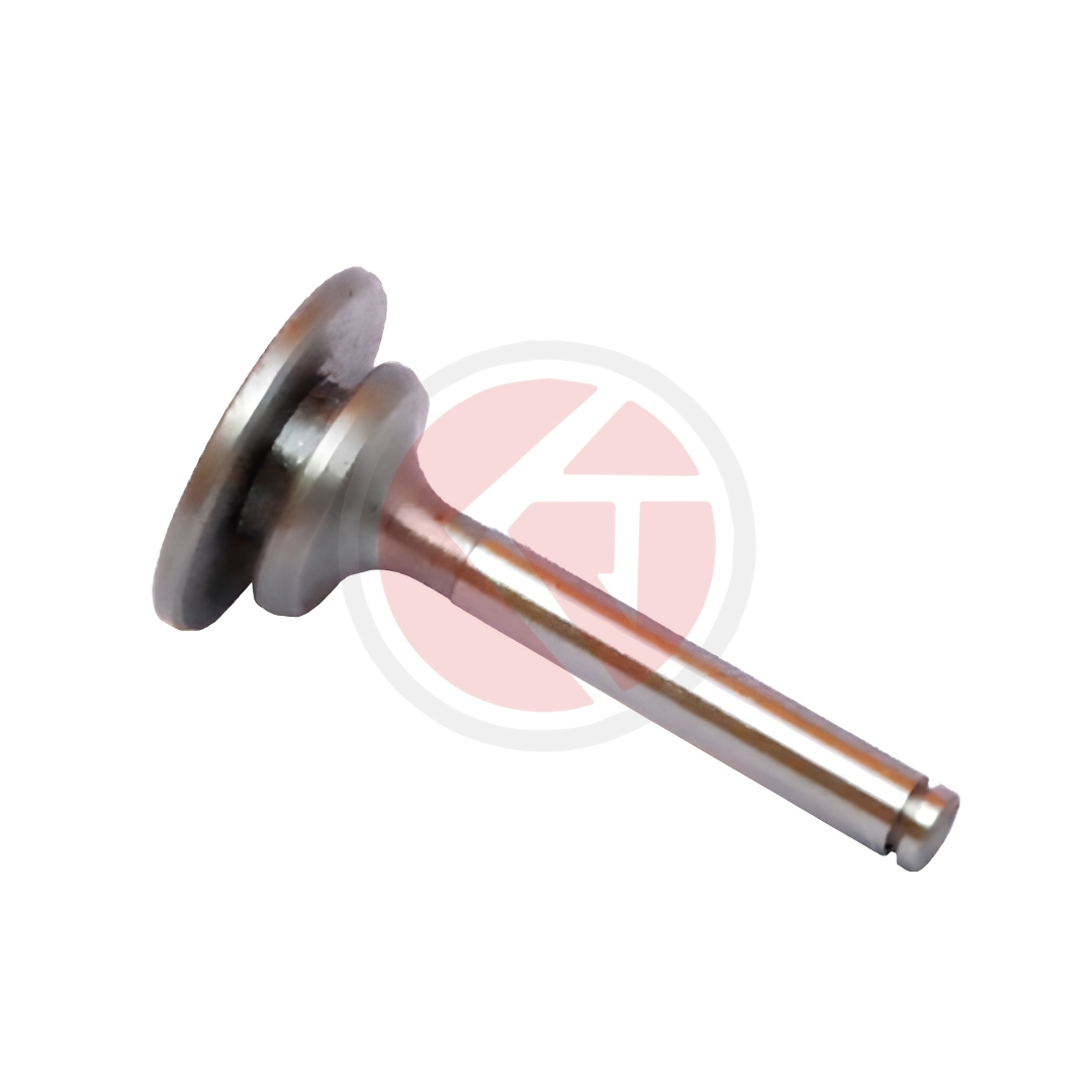 4168 Hyd. Pump Non Return Valve Mf-245 - 1870811M01