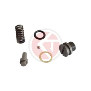 3069 Ram Cylinder Piston Spring Kit
