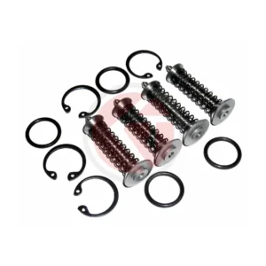 Swaraj standard valve chamber full kit, part number 5015.